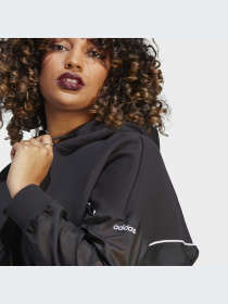 Худи Adidas Adicolor модель IC5380 Фото