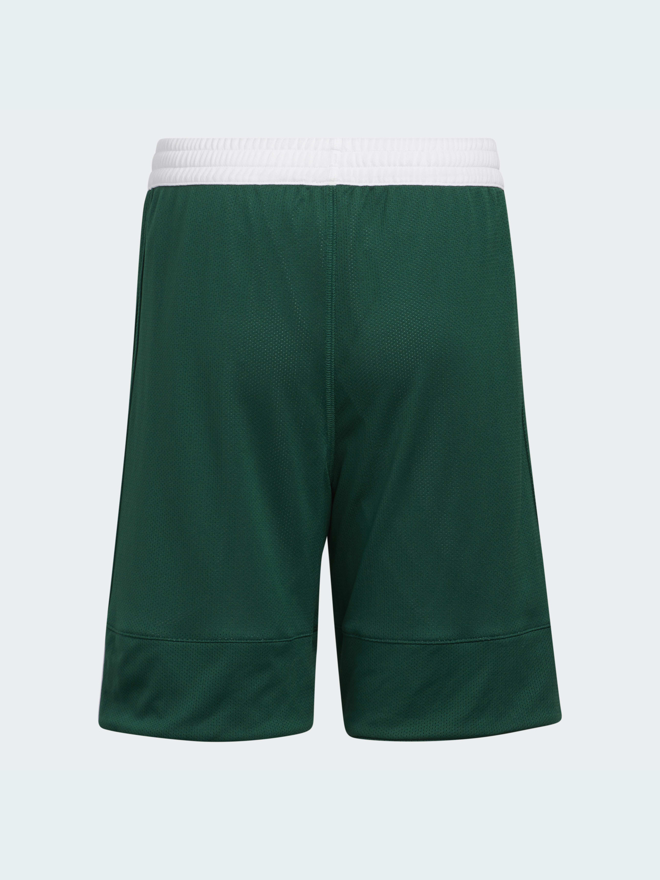 Шорти спортивні Adidas модель DY6623 Фото