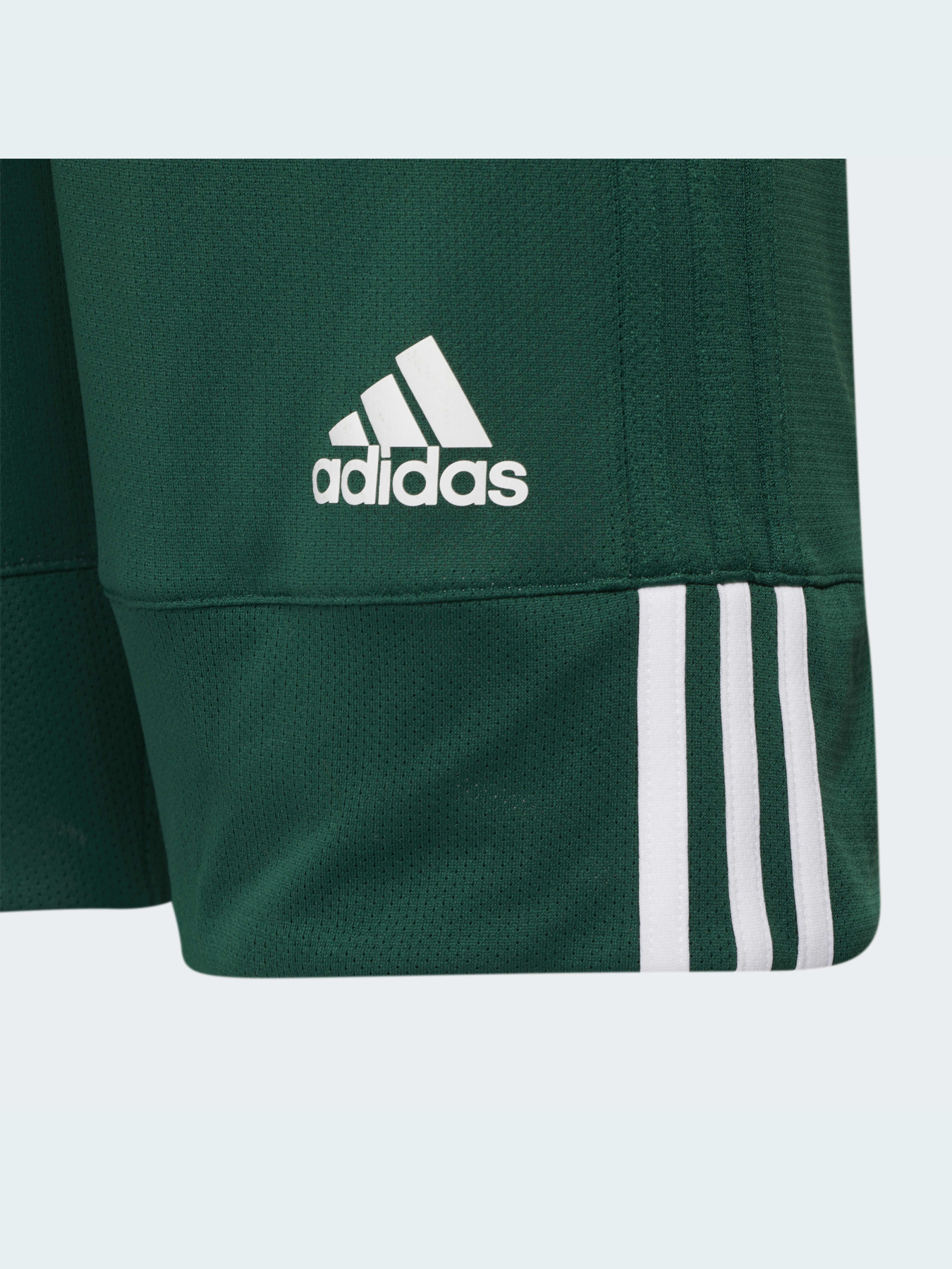 Шорти спортивні Adidas модель DY6623 Фото