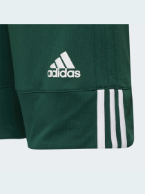 Шорти спортивні Adidas модель DY6623 Фото