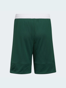 Спортивні шорти Adidas модель DY6623 Спортивні шорти Adidas модель DY6623 Фото