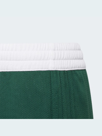 Спортивні шорти Adidas модель DY6623 Спортивні шорти Adidas модель DY6623 Фото