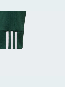 Спортивні шорти Adidas модель DY6623 Спортивні шорти Adidas модель DY6623 Фото