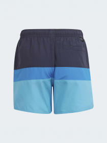 Шорти для плавання Adidas модель HD7374 Фото