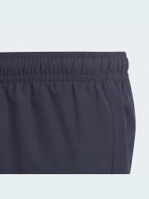 Шорти для плавання Adidas модель HD7374 Фото