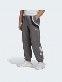 Спортивні штани Adidas модель HP1895 Фото