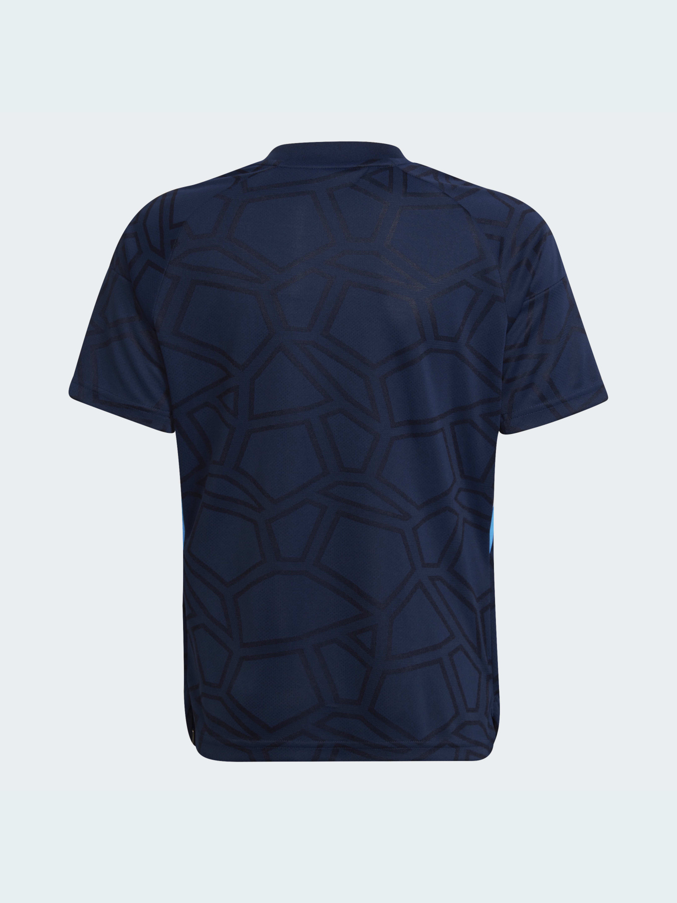 Спортивна футболка Adidas Condivo модель HA3560 Фото