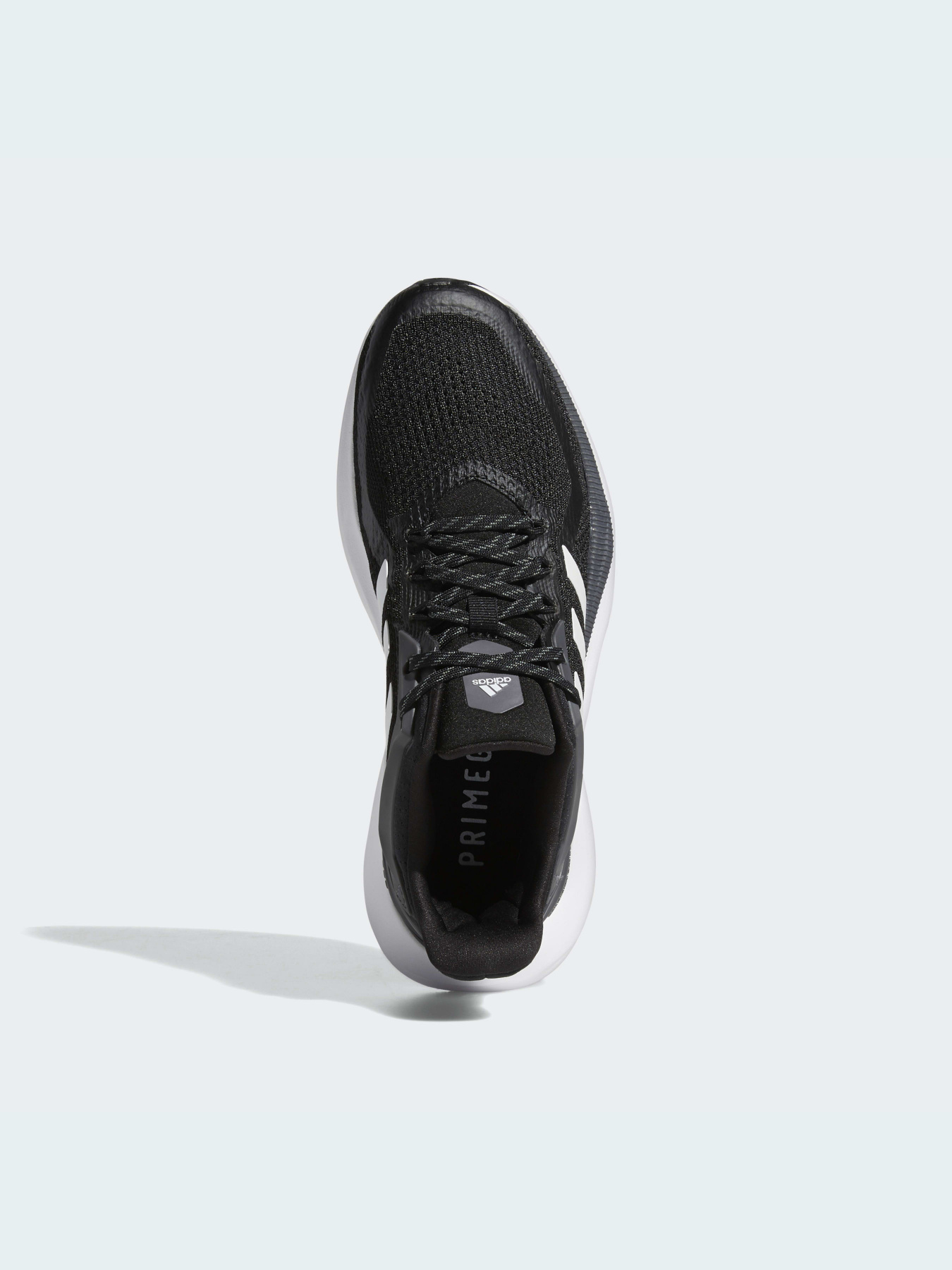 Кроссовки для бега Adidas Alphatorsion модель GZ8766 Фото