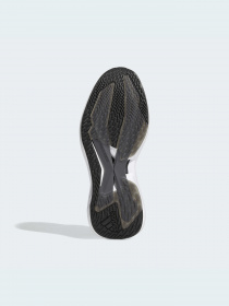 Кроссовки для бега Adidas Alphatorsion модель GZ8766 Фото