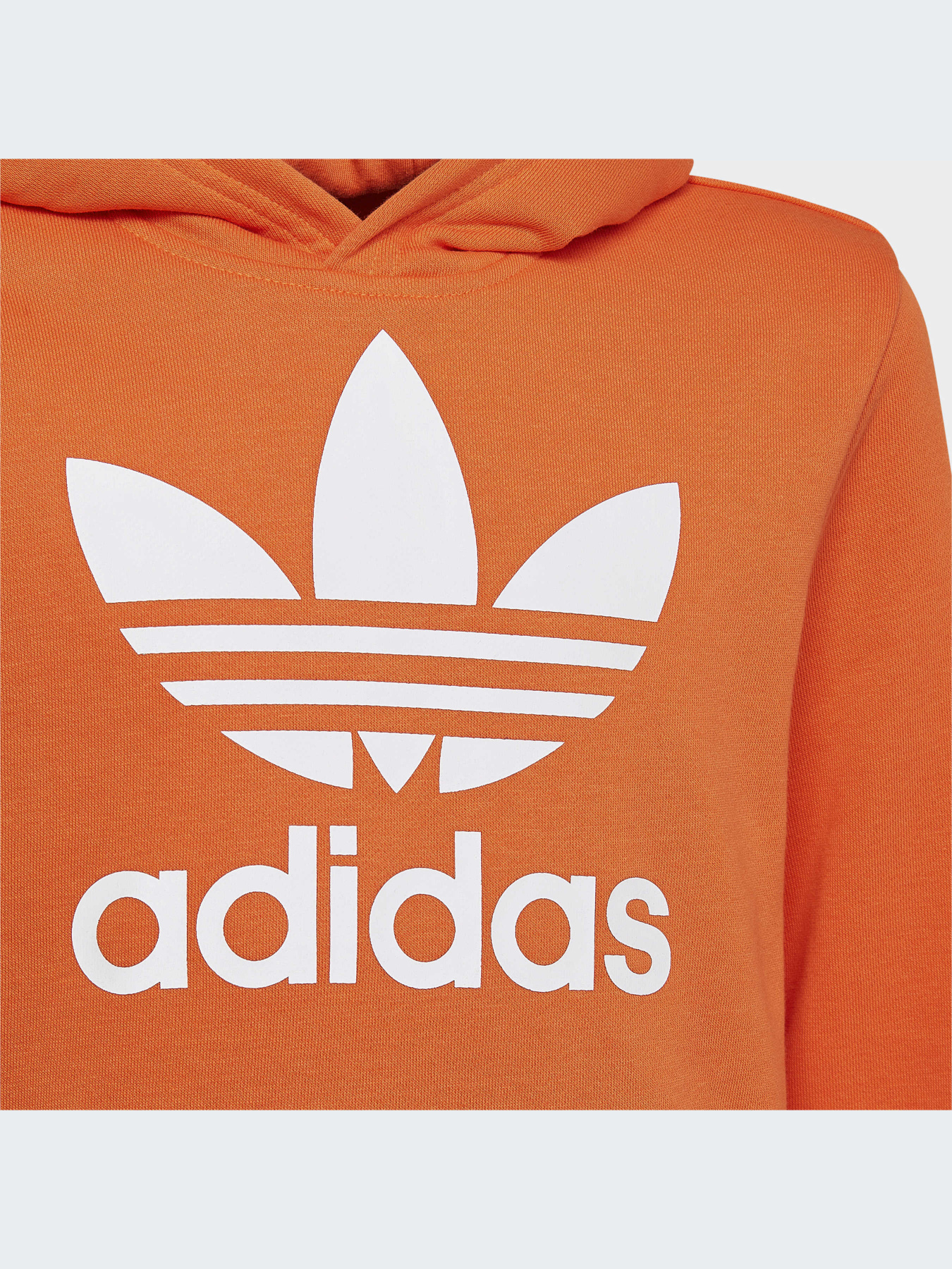 Худі Adidas Adicolor модель HK0273 Фото