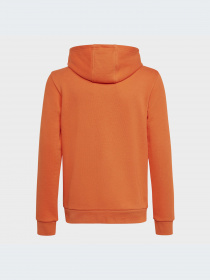 Худі Adidas Adicolor модель HK0273 Фото