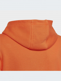 Худі Adidas Adicolor модель HK0273 Фото