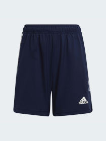 Шорты спортивные Adidas Condivo модель HA3572 Фото