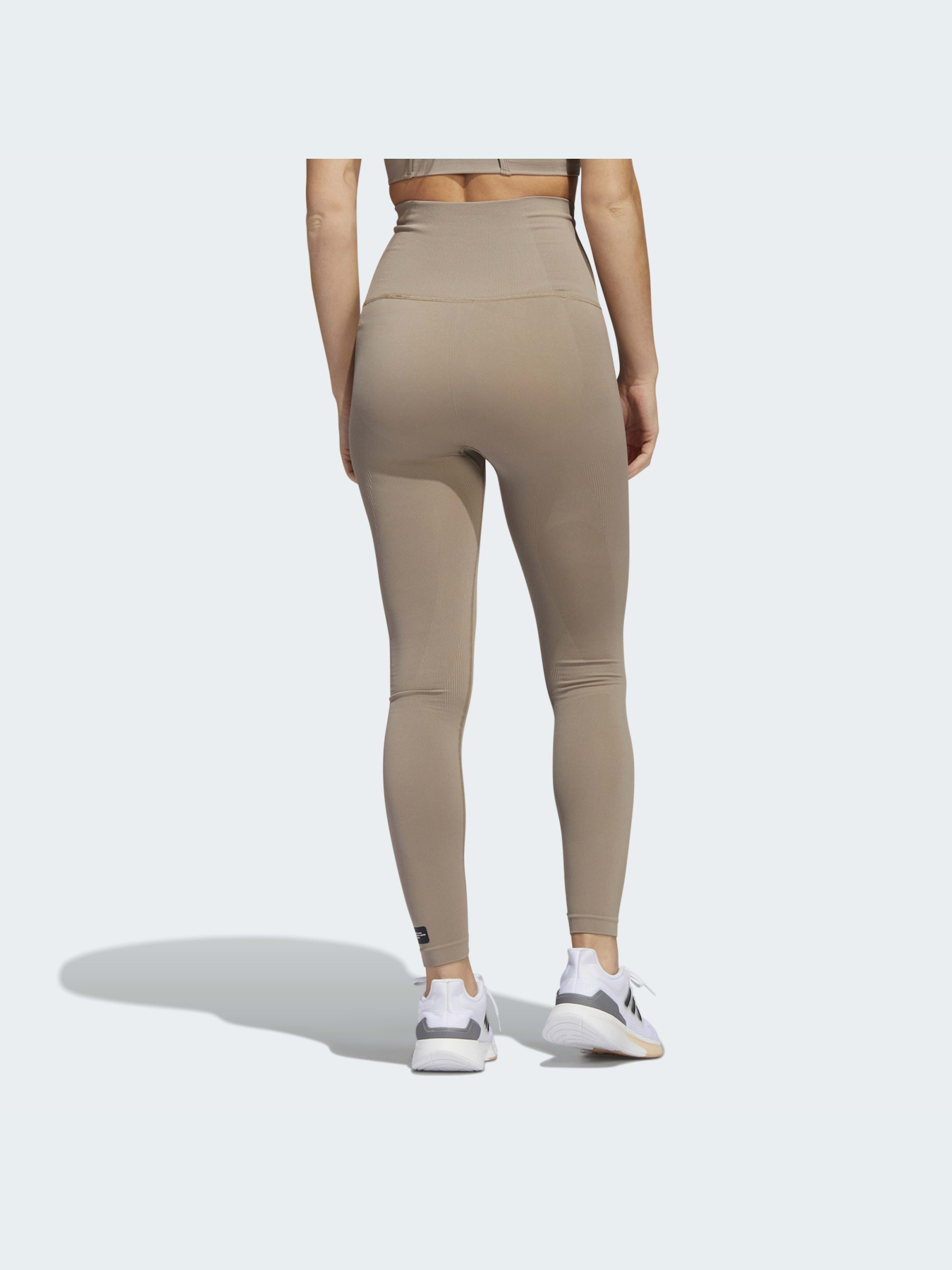 Леггинсы спортивные Adidas Clima модель HG2088 Фото