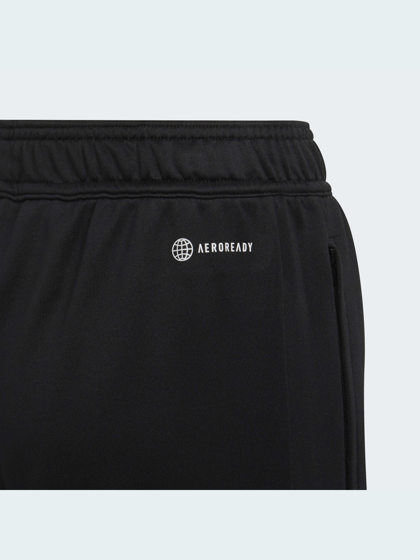 Штани спортивні Adidas Condivo модель HA6258 Фото