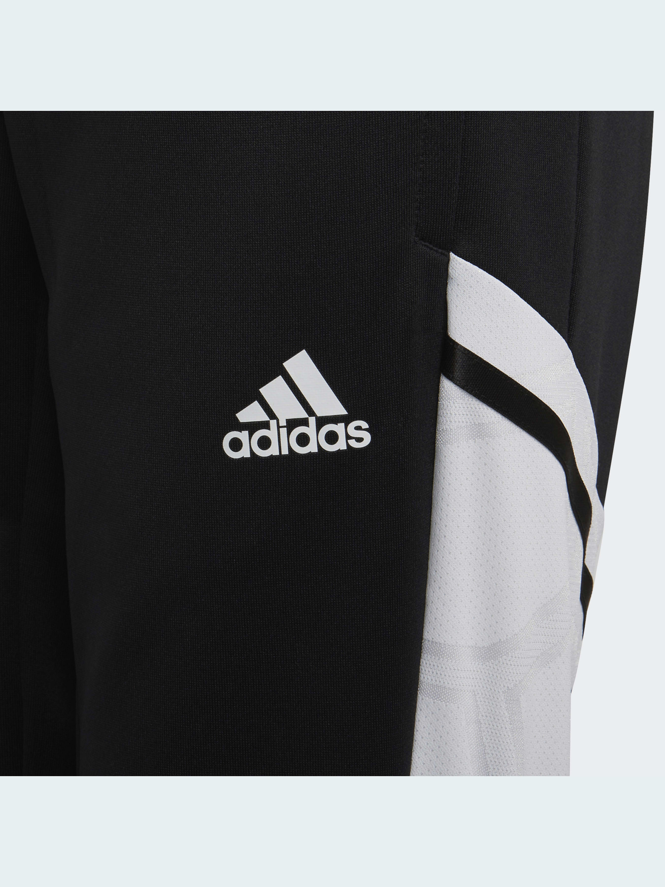 Спортивні штани Adidas Condivo модель HA6258 Фото