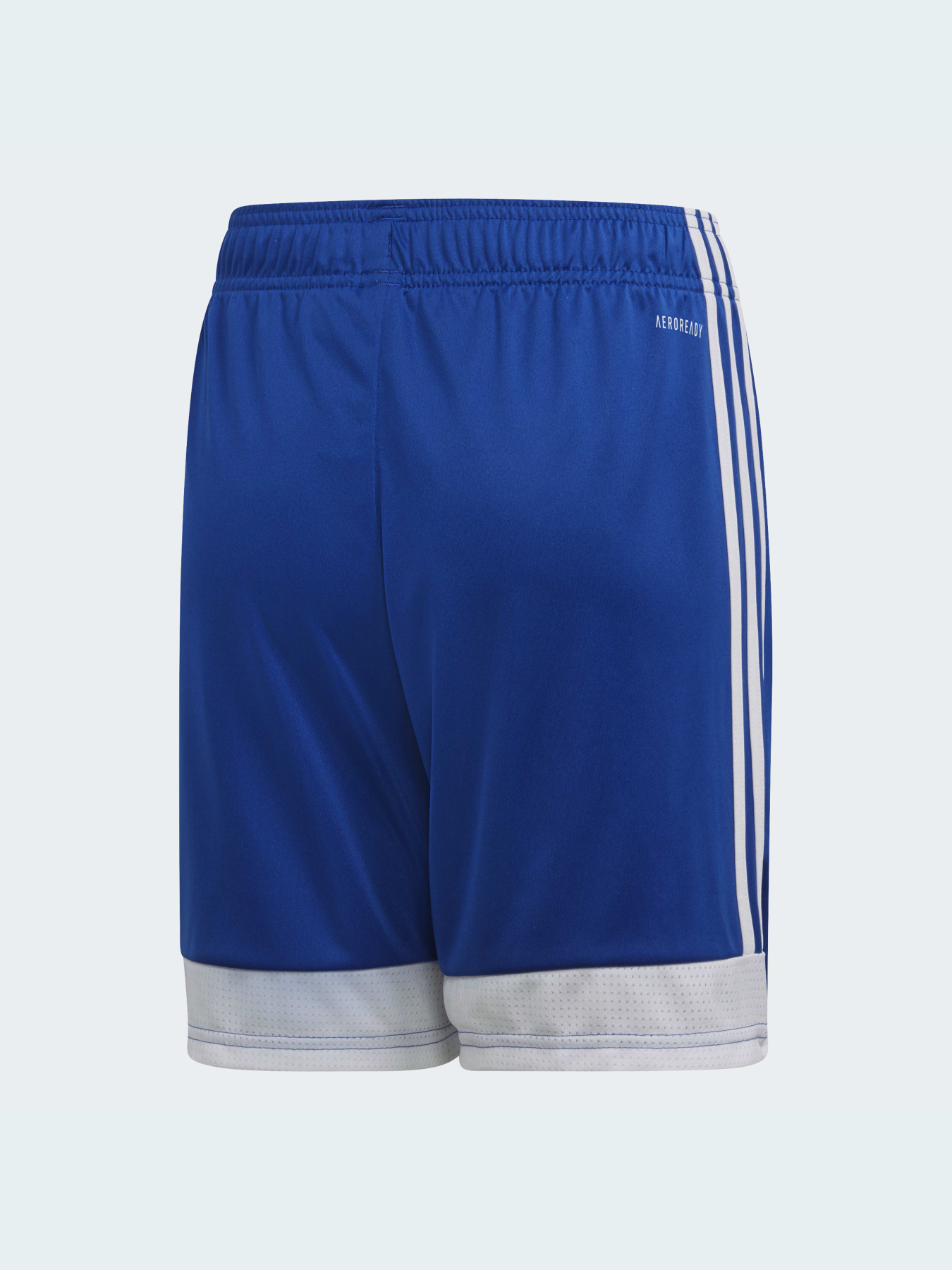 Шорты спортивные Adidas модель DP3686 Фото