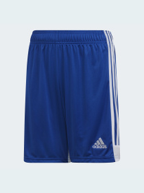 Спортивні шорти Adidas модель DP3686 Спортивні шорти Adidas модель DP3686 Фото