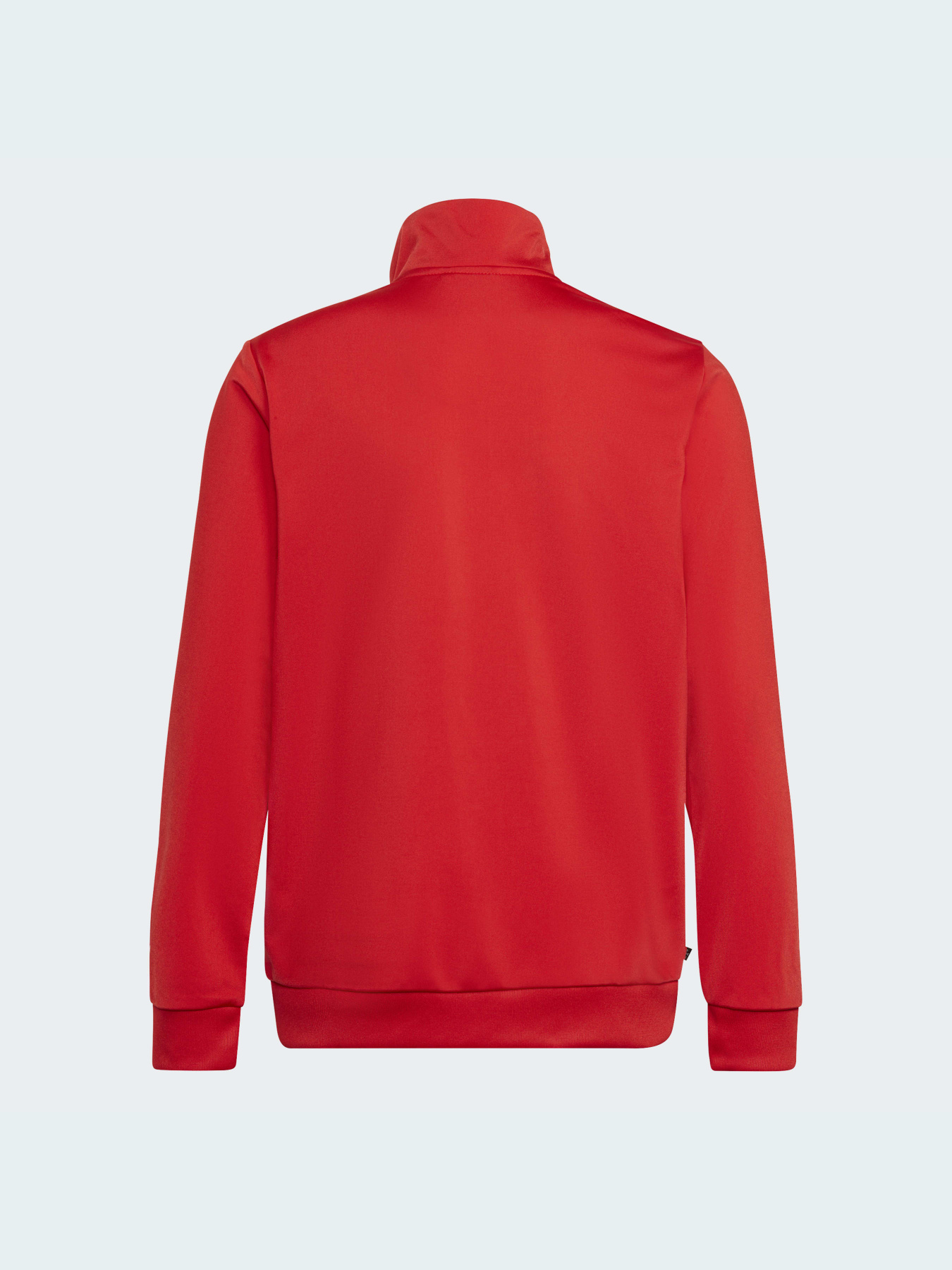 Кофта Adidas Adicolor модель HB9460 Фото