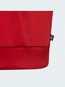 Кофта Adidas Adicolor модель HB9460 Фото