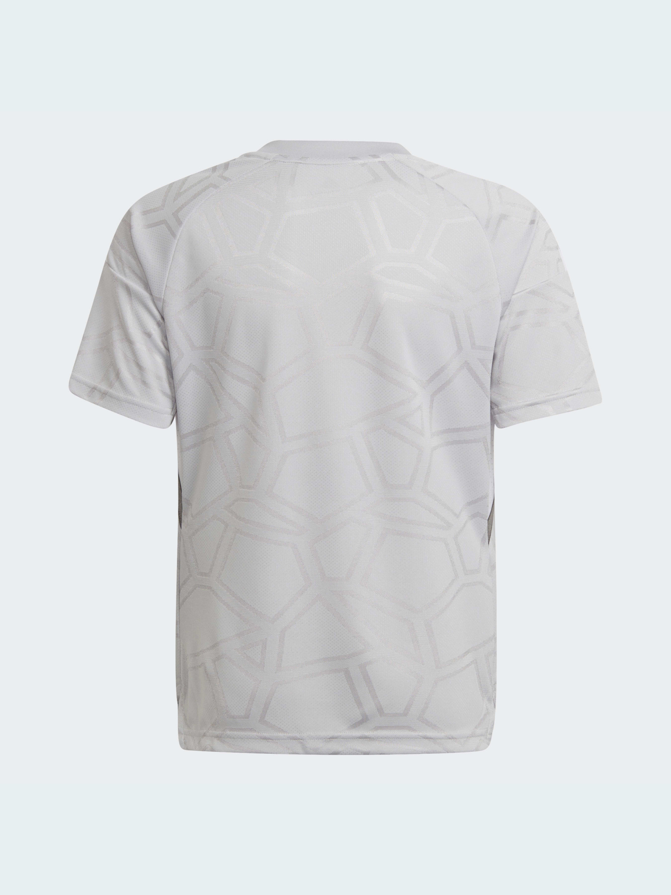 Спортивна футболка Adidas Condivo модель HA3559 Фото