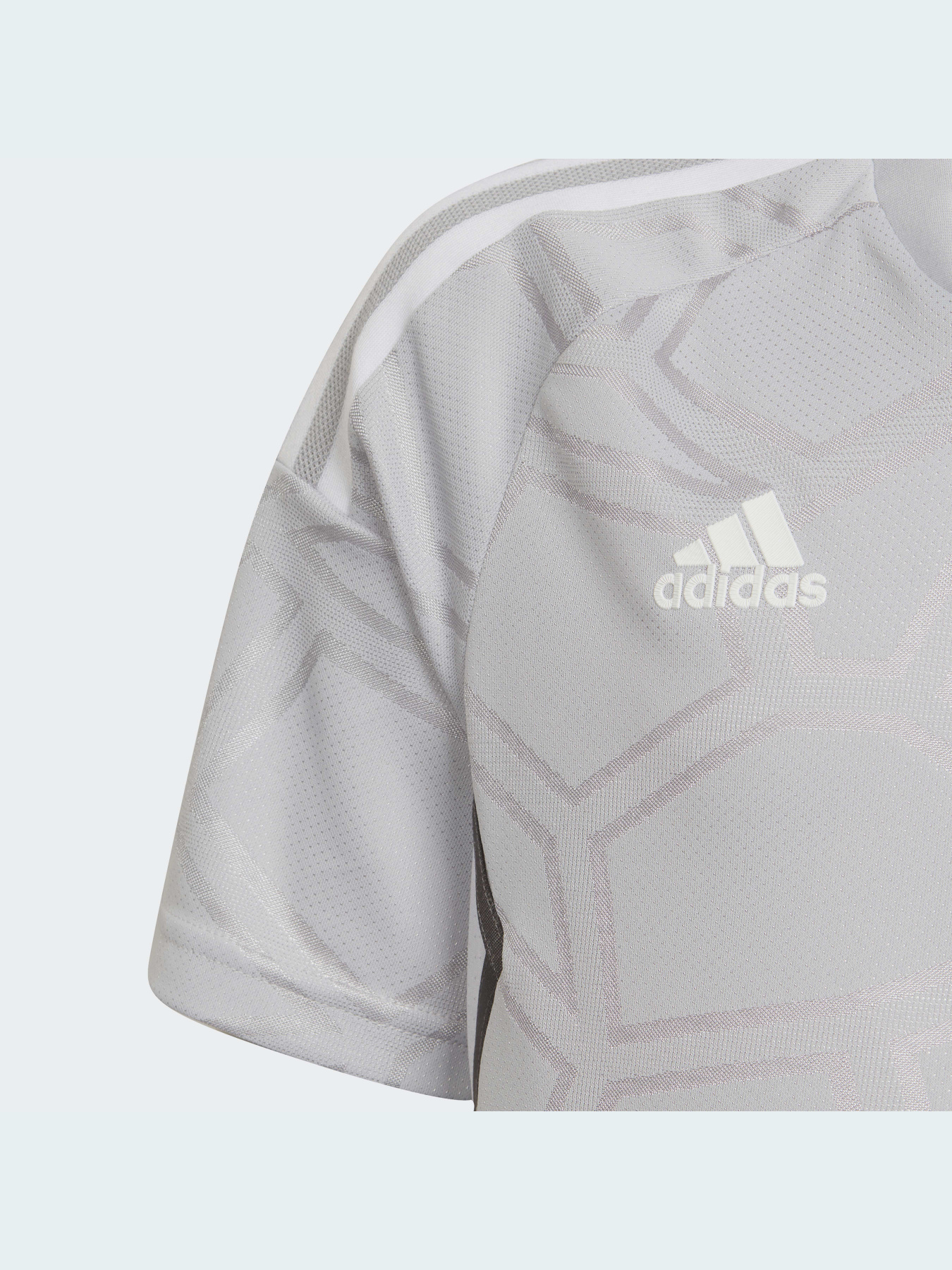 Спортивна футболка Adidas Condivo модель HA3559 Фото