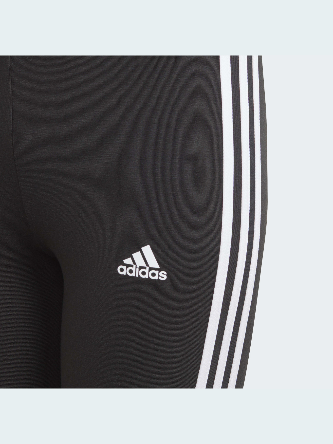 Леггинсы Adidas модель GN4046 Фото