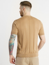 Футболки и поло Arber модель M09.46.16.321 Фото