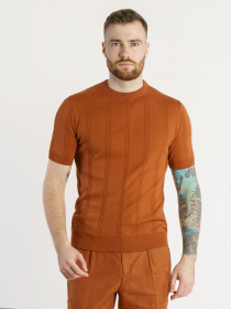 Футболка Arber модель M09.50.38.321 Фото