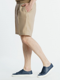 Повсякденні шорти Arber модель M29.16.16.321 Фото