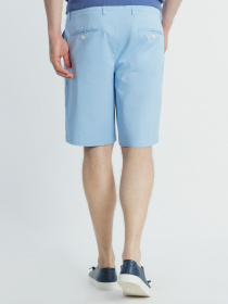 Шорты Arber модель M29.34.25.321 Фото