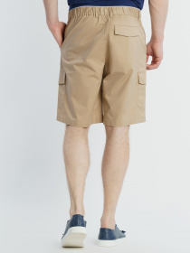 Повсякденні шорти Arber модель M29.35.16.321 Фото