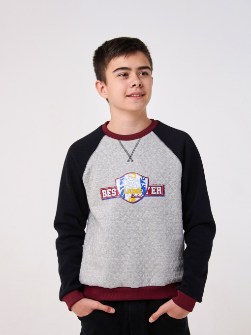 Свитшот SMIL модель smil_116602-seryj Фото