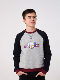 Свитшот SMIL модель smil_116602-seryj Фото