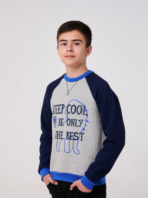 Свитшот SMIL модель smil_116602-seryj-melanz Фото