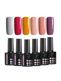 Набір 6 шт гель-лаки для нігтів Reglance модель 30003 Фото