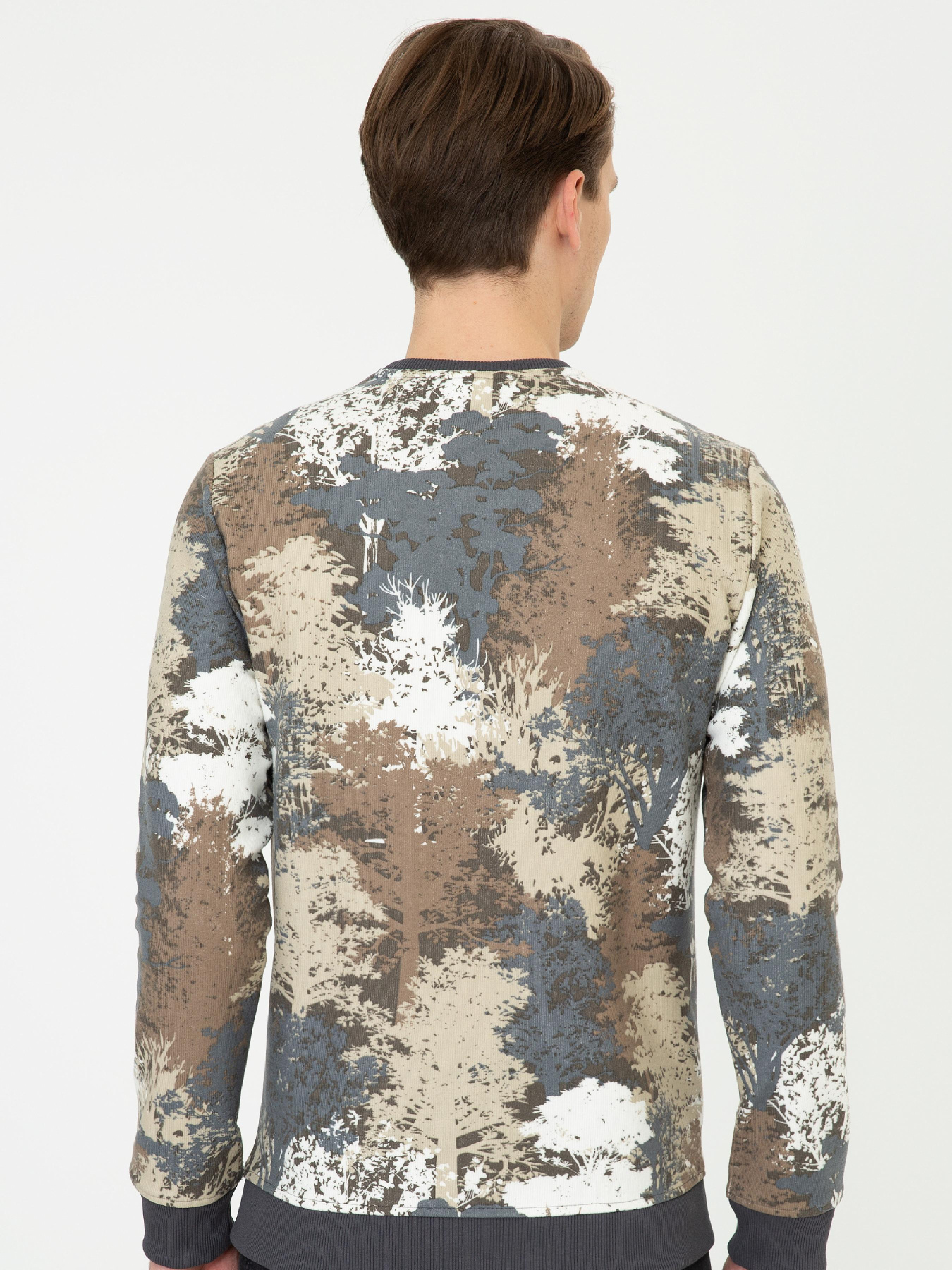 Свитшот US Polo модель G081SZ082.000.1256864.VR081 Фото