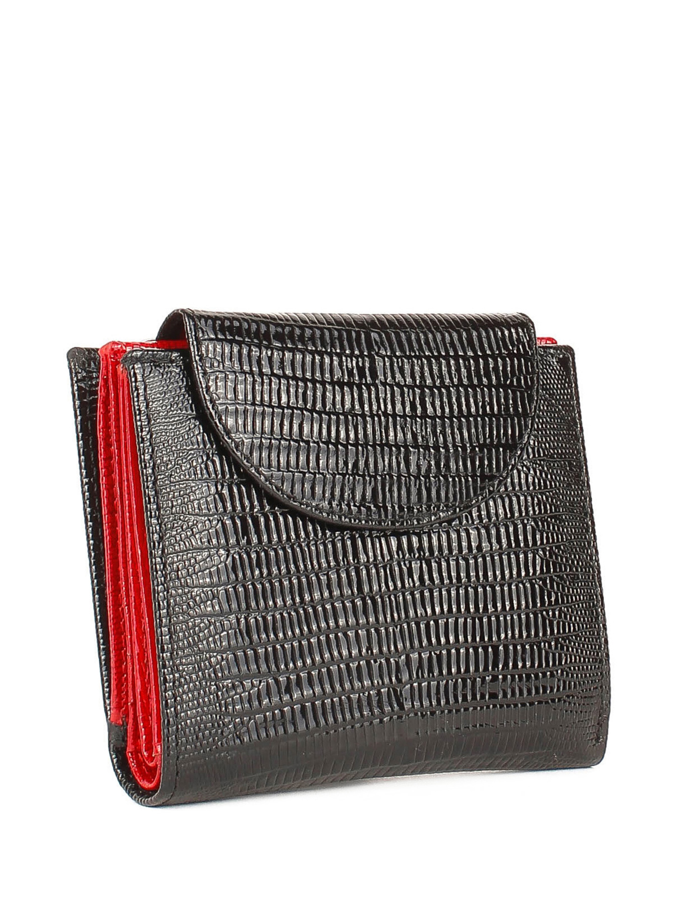 Кошелек Bella Bertucci модель 755-834 Фото