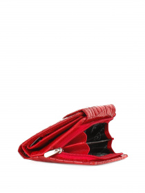 Кошелек Bella Bertucci модель 755-921 Фото