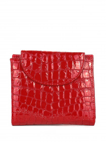 Гаманець Bella Bertucci модель 755-921 Гаманець Bella Bertucci модель 755-921 Фото