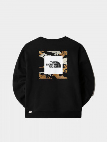 Худи и свитшоты The North Face модель NF0A7X2FJK31 Фото
