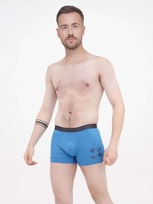 Трусы Chikiss модель CMH202-08gra Фото