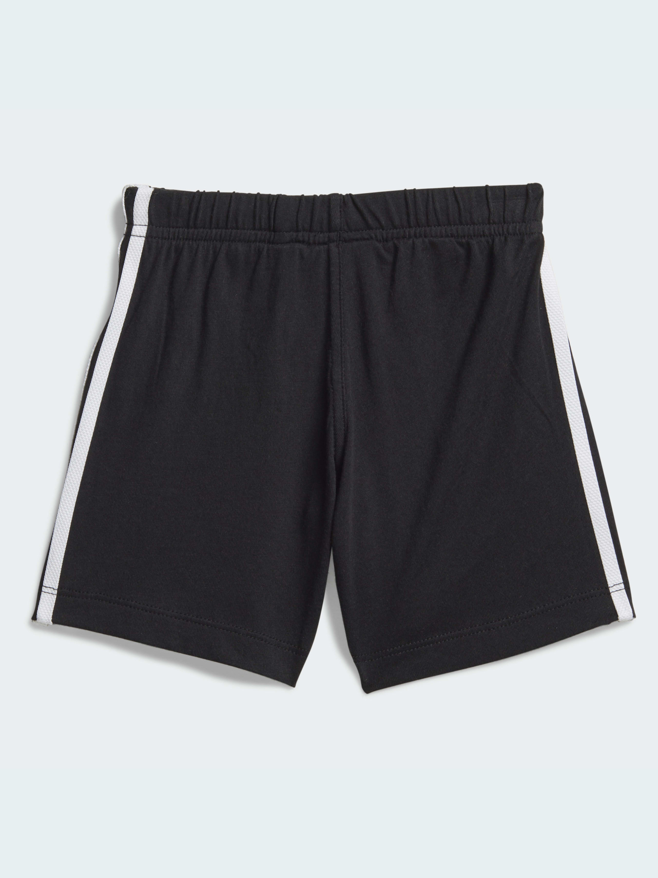 Спортивный костюм Adidas Adicolor модель FI8318 Фото