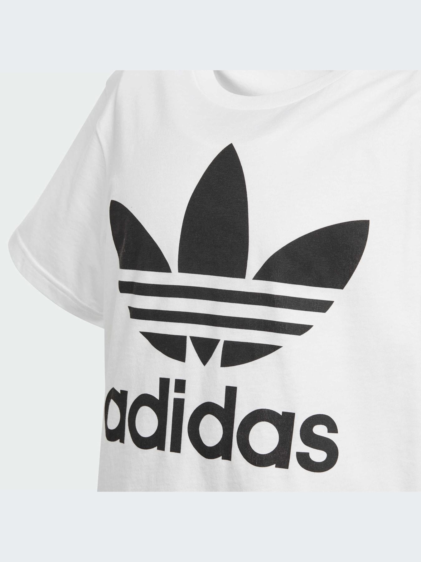 Футболка Adidas Adicolor модель DV2904 Фото