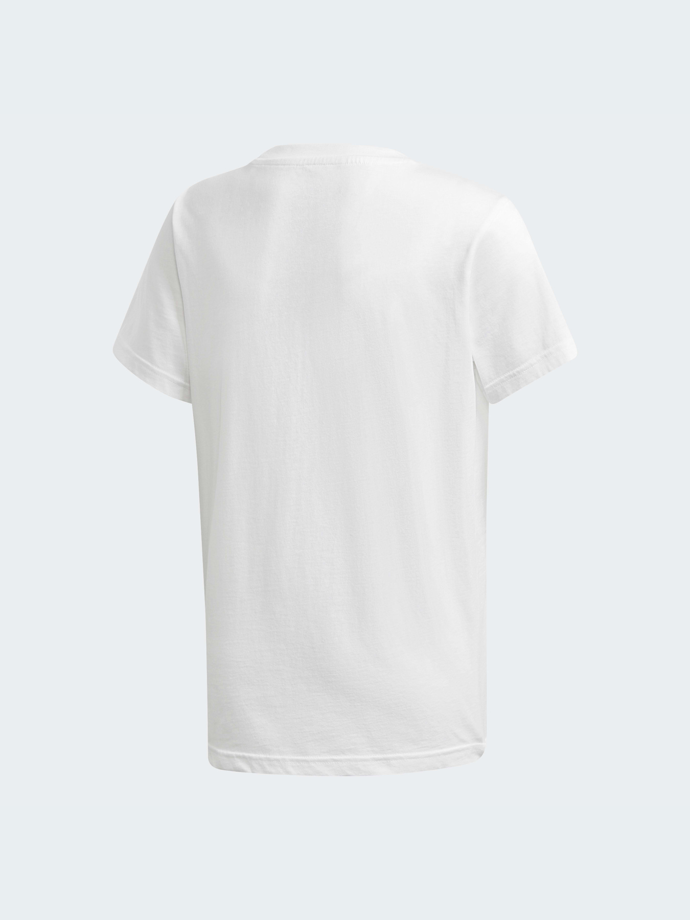 Футболка Adidas Adicolor модель DV2904 Фото