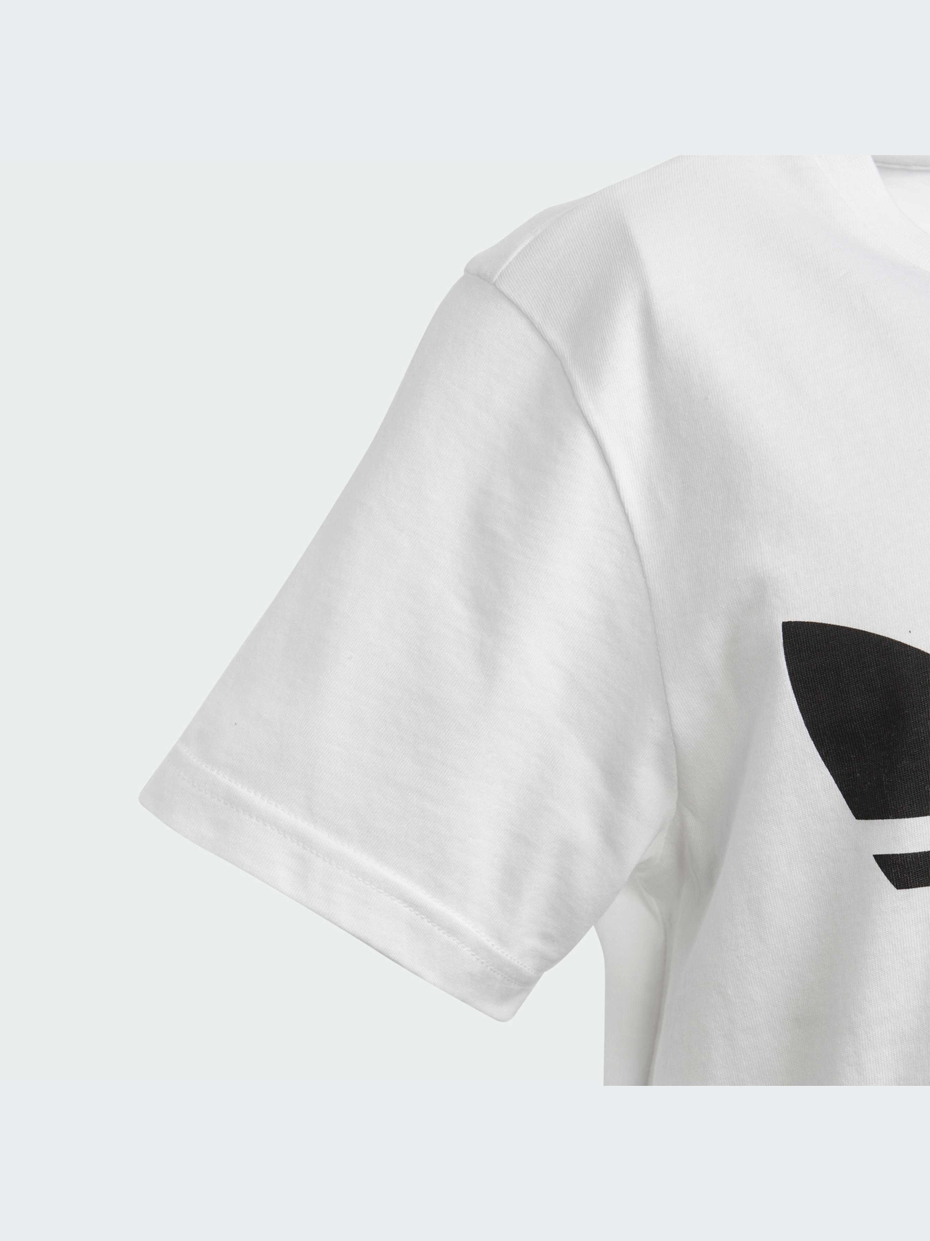 Футболка Adidas Adicolor модель DV2904 Фото