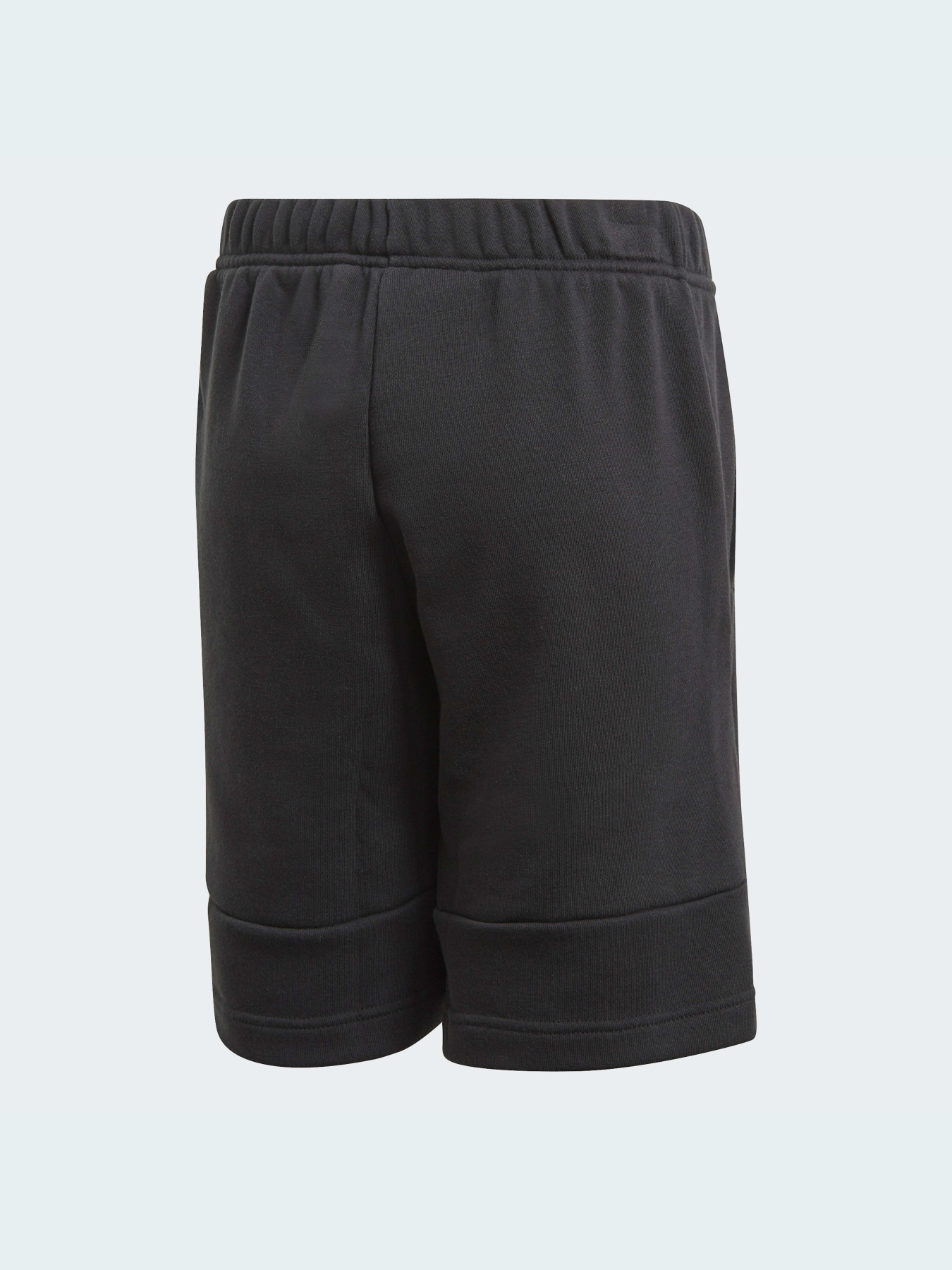 Шорты спортивные Adidas модель GJ6619 Фото