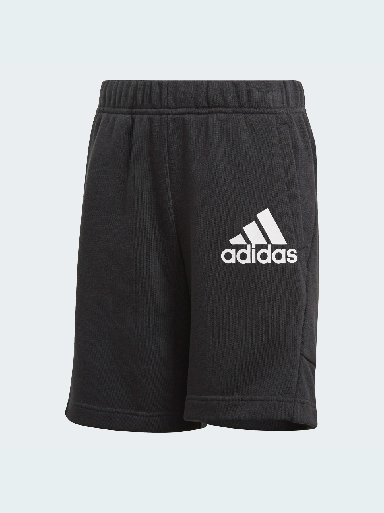 Шорты спортивные Adidas модель GJ6619 Фото