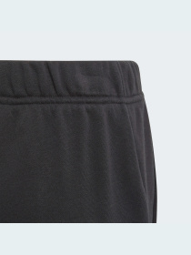 Шорты спортивные Adidas модель GJ6619 Фото