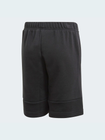 Спортивні шорти Adidas модель GJ6619 Фото